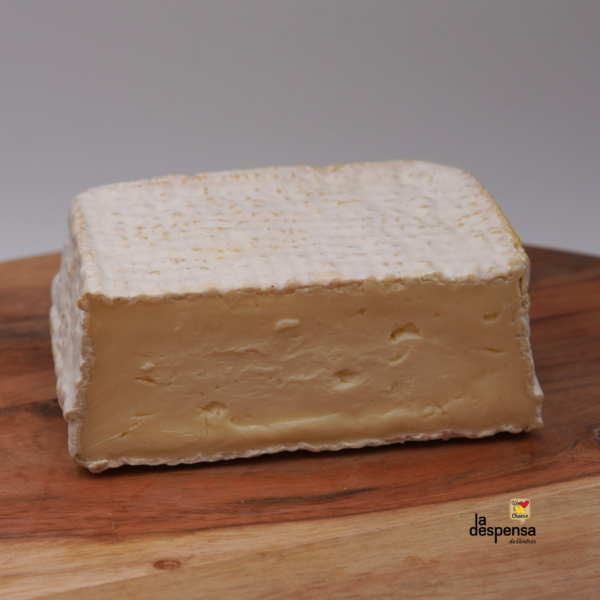 Queso Néboa - Quesería Quintián