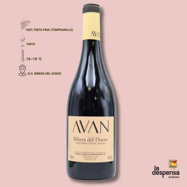 Avan – Bodegas y Viñedos Juan Manuel Burgos – D.O. Ribera del Duero